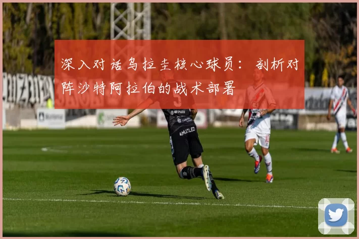 深入对话乌拉圭核心球员：剖析对阵沙特阿拉伯的战术部署