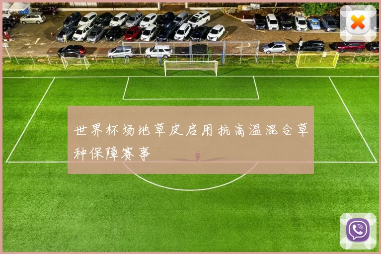 世界杯场地草皮启用抗高温混合草种保障赛事