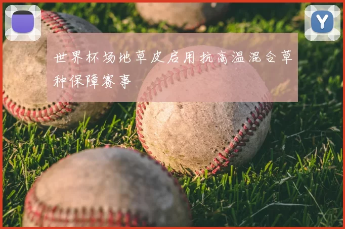 世界杯场地草皮启用抗高温混合草种保障赛事