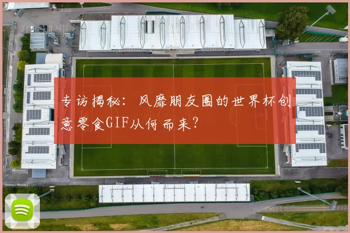 专访揭秘：风靡朋友圈的世界杯创意零食GIF从何而来？
