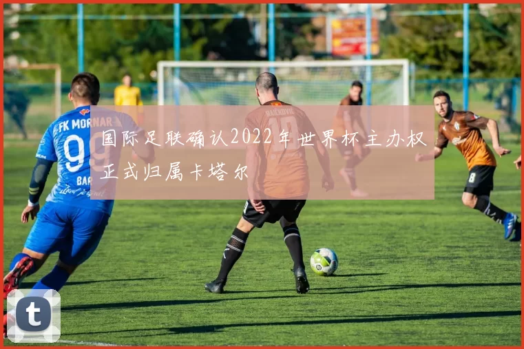 国际足联确认2022年世界杯主办权正式归属卡塔尔