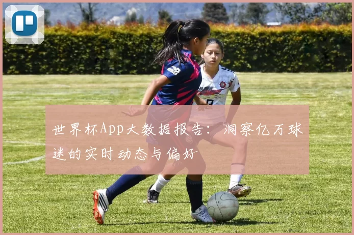 世界杯App大数据报告：洞察亿万球迷的实时动态与偏好