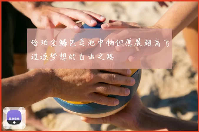 哈珀金鳞岂是池中物但愿展翅高飞追逐梦想的自由之路
