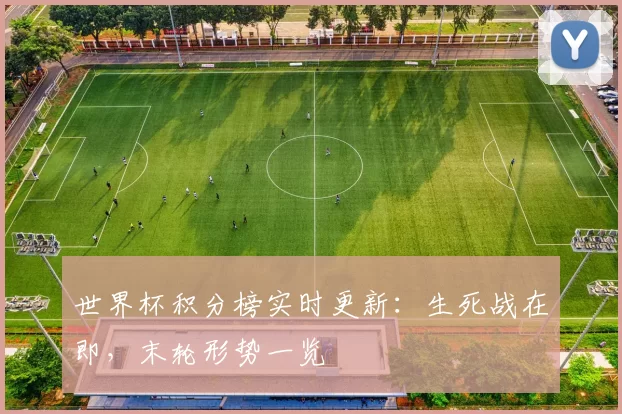 世界杯积分榜实时更新:生死战在即,末轮形势一览