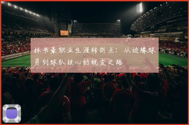 林书豪职业生涯转折点：从边缘球员到球队核心的蜕变之路