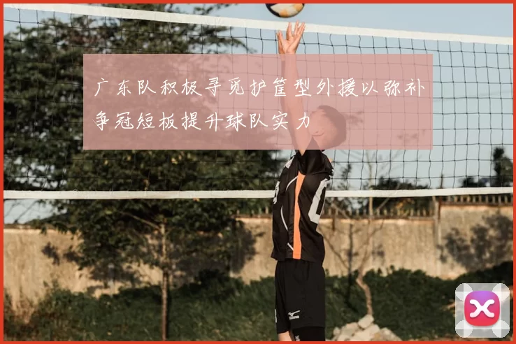 广东队积极寻觅护筐型外援以弥补争冠短板提升球队实力