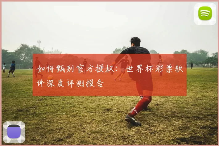 如何甄别官方授权:世界杯彩票软件深度评测报告