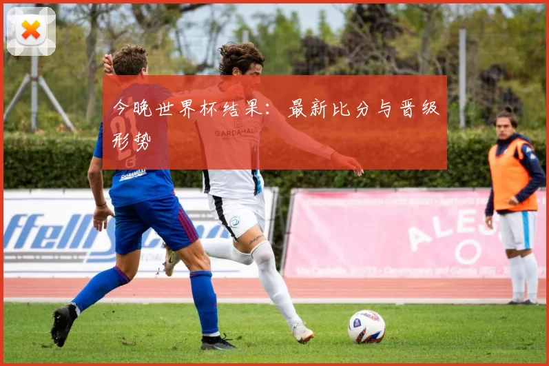今晚世界杯结果：最新比分与晋级形势