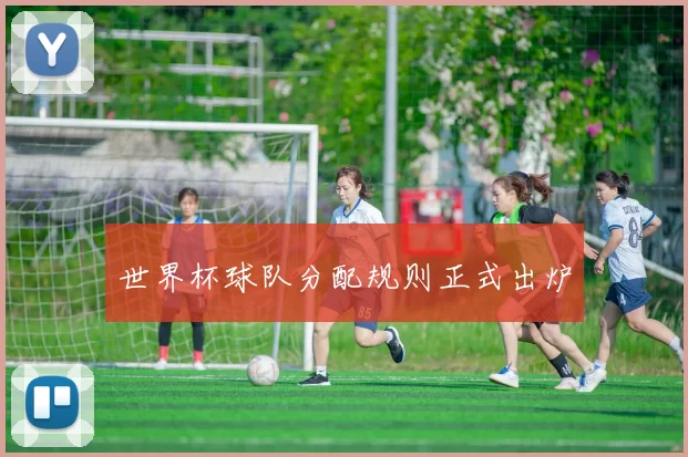 世界杯球队分配规则正式出炉