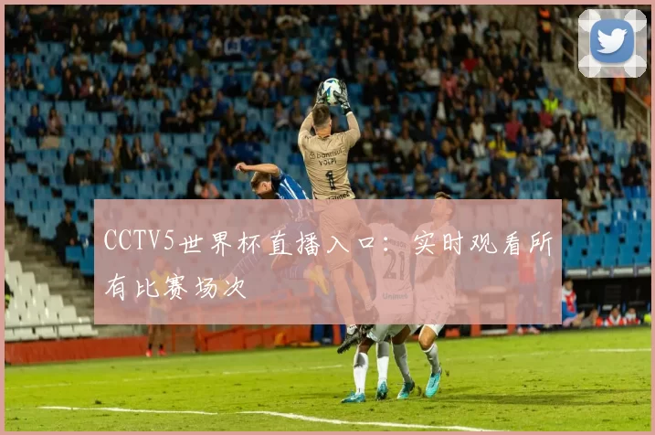 CCTV5世界杯直播入口:实时观看所有比赛场次
