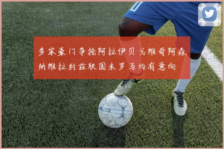 多家豪门争抢阿拉伊贝戈维奇阿森纳维拉利兹联国米罗马均有意向
