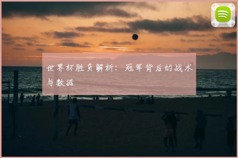 世界杯胜负解析：冠军背后的战术与数据